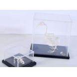 A Gerrard & Co educational cased model of a Chicken Skeleton together with a frog skeleton 23 x 24cm