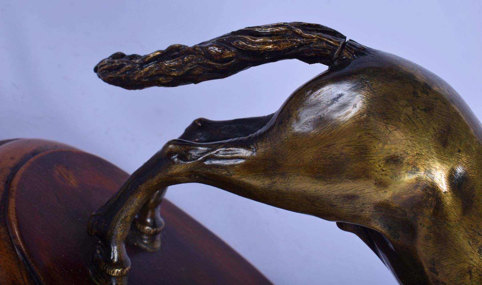 A FINE 18TH CENTURY EUROPEAN BRONZE FIGURE OF A ROAMING HORSE After the Antiquity, modelled leaping - Image 6 of 8