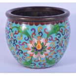 A Chinese Cloisonne enamel bowl decorated with foliage.13 cm.