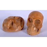 TWO CARVED NUT NETSUKE, ONE CARVED AS A LIZARD AND THE OTHER AS A SKULL. Largest 4.3cm x 3.6cvm, to