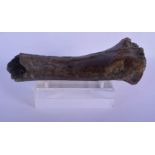 AN EARLY FOSSILISED ANIMAL BONE VERTEBRAE upon a later stand. 25 cm x 10 cm.