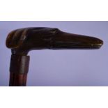 A RARE 19TH CENTURY CONTINENTAL CARVED RHINOCEROS HORN WALKING CANE with dog head terminal. 85 cm lo