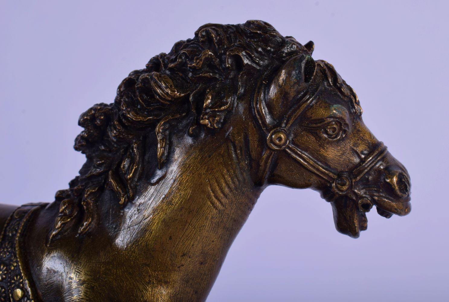 A FINE 18TH CENTURY EUROPEAN BRONZE FIGURE OF A ROAMING HORSE After the Antiquity, modelled leaping - Image 4 of 8