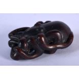 A JAPANESE WOOD NETSUKE CARVED AS A CEPHALOPOD. 5.4cm x 3.5cm, weight 22.5g