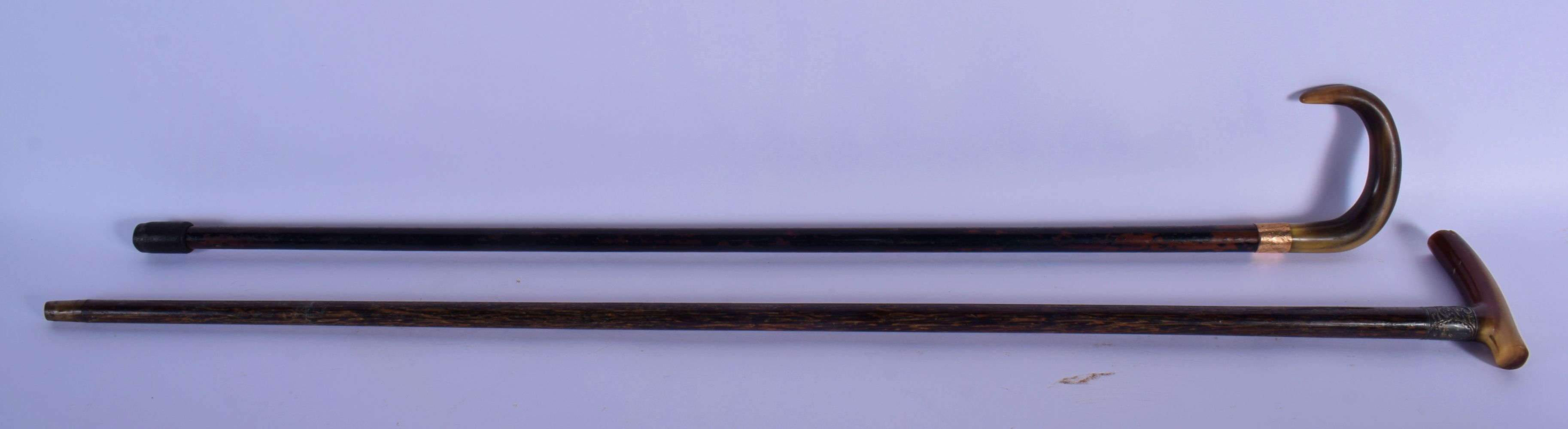 TWO 19TH CENTURY CONTINENTAL CARVED RHINOCEROS HORN WALKING CANES. 90 cm long. (2) - Image 3 of 3