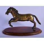 A FINE 18TH CENTURY EUROPEAN BRONZE FIGURE OF A ROAMING HORSE After the Antiquity, modelled leaping