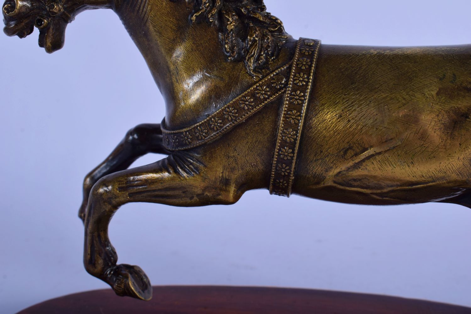 A FINE 18TH CENTURY EUROPEAN BRONZE FIGURE OF A ROAMING HORSE After the Antiquity, modelled leaping - Image 8 of 8