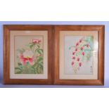 A PAIR OF EARLY 20TH CENTURY JAPANESE MEIJI PERIOD WATERCOLOURS depicting foliage. Watercolour 34 cm
