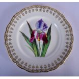 A 19TH CENTURY EUROPEAN PAINTED PORCELAIN BOTANICAL PLATE highlighted in gilt. 22 cm wide.