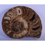 A CHARMING FOSSILISED AGATE PAPERWEIGHT. 16 cm x 12 cm.