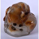 A CHINESE CARVED AGATE NATURALISTIC FRUITING POD 20th Century. 5 cm x 4 cm.
