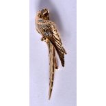 A VINTAGE GOLD PARROT BROOCH. 8 grams. 5.5 cm x 1.5 cm.