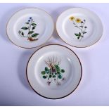 ENGLISH PORCELAIN, PROBABLY SPODE, BOTANICAL PLATES PAINTED WITH BOTANICAL SPECIMEN FLOWERS, WITHIN