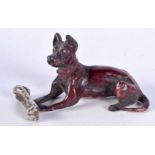 A COLD PAINTED BRONZE OF A DOG WITH A BONE. 3.8cm x 6.8cm, weight 104g