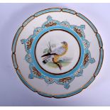 19TH C. COALPORT FINE PLATE PAINTED WITH A BIRD OF PREY BY JOHN RANDALL, IN A TURQUOICE AND GILT PAN