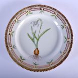 20TH C. ROYAL COPENHAGEN BOTANICAL PLATE. 22cm diameter