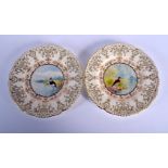 EARLY 20TH C. COALPORT PAIR OF PLATES PAINTED WITH A NAMED BIRD EITHER 'LAPWING' OR 'WOODCOCK' UNDE