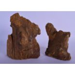 AN UNUSUAL PAIR OF FOSSILISED PETRIFIED WOOD BOOKENDS of naturalistic form. Largest 19 cm x 12 cm.