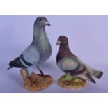 TWO FINE KOWA PORCELAIN FIGURES OF BIRDS Stock Dove & Wood Pigeon. Largest 21 cm x 15 cm. (2)