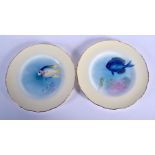 ROYAL WORCESTER PAIR OF PLATES PAINTED WITH BLUE ANGEL AND SERGENT FISH BY H. AYRTON, SIGNED, 1934.