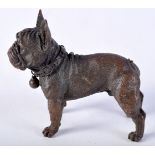 A BRONZE MODEL OF A BULLDOG. 6.3cm x 7.5cm, weight 225g