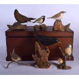 AN UNUSUAL SET OF SEVEN CARVED WOOD FOLK ART BIRDS within a wooden carrying box. 40 cm x 20 cm. (8)