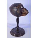 A Tribal decoration of monkey skull formed into a coconut shell mounted on a wooden stand possibly