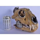 A FINE AND RARE EARLY 20TH CENTURY SILVER MOUNTED MIDDLE EASTER TIGER SKULL probably Thai, formed as