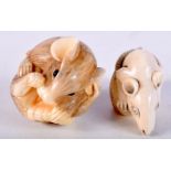 A 19TH CENTURY JAPANESE MEIJI PERIOD CARVED RAT NETSUKE together with another similar. Largest 4 cm