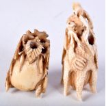 TWO 19TH CENTURY CHINESE CARVED IVORY FRUITING PODS Qing. Largest 5 cm x 3 cm. (2)