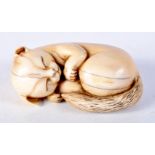 A 19TH CENTURY JAPANESE MEIJI PERIOD CARVED IVORY NETSUKE modelled as a sleeping cat. 5 cm x 2.5 cm.