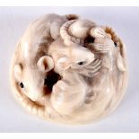 A 19TH CENTURY JAPANESE MEIJI PERIOD CARVED IVORY NETSUKE formed as a group of mice. 4.5 cm diameter