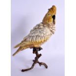 A CONTEMPORARY COLD PAINTED BRONZE COCKATOO. 32 cm high.