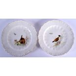 ROYAL WORCESTER PAIR OF SMALL PLATES PAINTED WITH BIRDS DATE MARK 1897 17cm Diameter (Pair)
