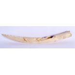 A LONG 19TH CENTURY AFRICAN CARVED IVORY CROCODILE TUSK of naturalistic form. 44 cm long.