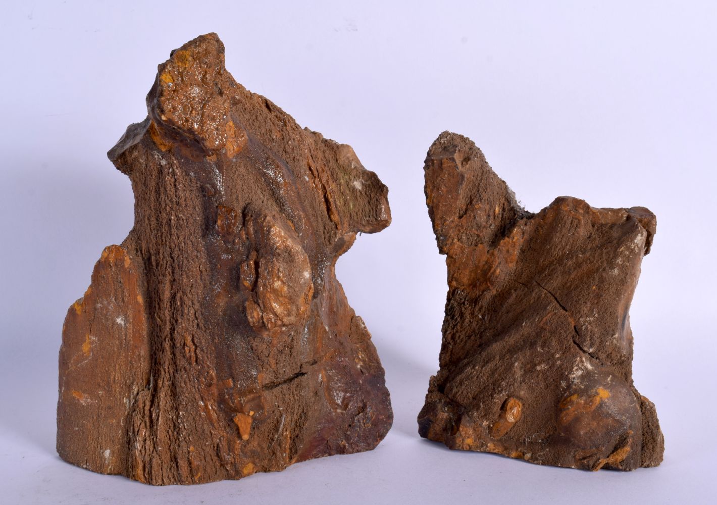 AN UNUSUAL PAIR OF FOSSILISED PETRIFIED WOOD BOOKENDS of naturalistic form. Largest 19 cm x 12 cm.