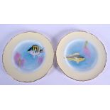 ROYAL WORCESTER ICHTHYOLOGICAL PAIR OF PLATES PAINTED BY HARRY AYRTON, SIGNED, WITH FISH, TITLED VER