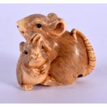 AN EARLY 20TH CENTURY JAPANESE MEIJI PERIOD CARVED IVORY RAT NETSUKE modelled with another. 2.5 cm x