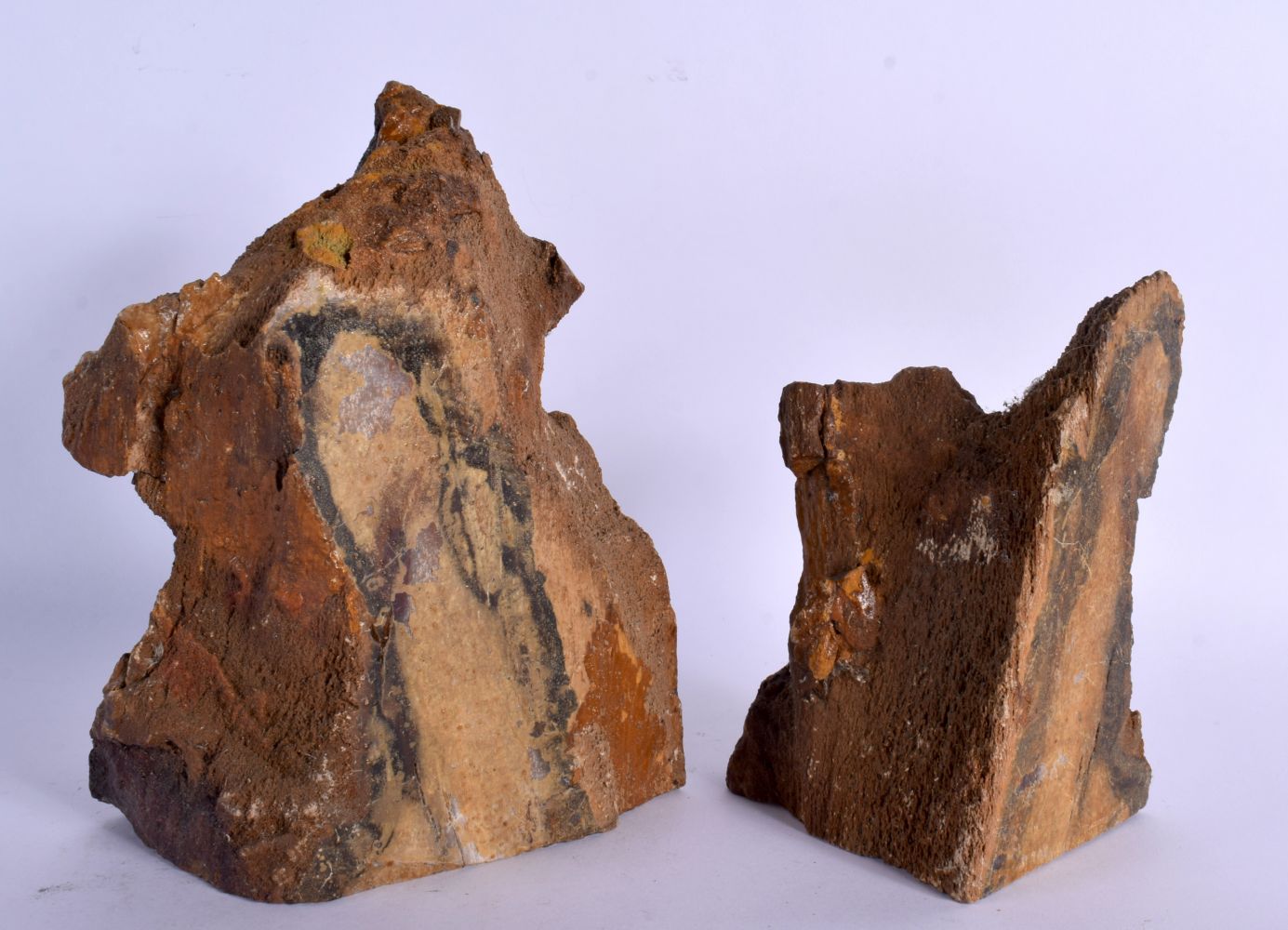 AN UNUSUAL PAIR OF FOSSILISED PETRIFIED WOOD BOOKENDS of naturalistic form. Largest 19 cm x 12 cm. - Image 2 of 2