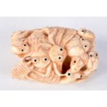 A JAPANESE BONE NETSUKE CARVED WITH INSECTS. 5cm x 3cm x 2.2cm, weight 28.8g