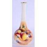 ROYAL WORCESTER VASE PAINTED BY ROBERTS , SIGNED WITH PEACHES AND CHERRIES, BLACK MARK , SHAPE 2491