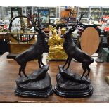 A LARGE PAIR OF CONTEMPORARY BRONZE STAGS. 70 cm x 30 cm.