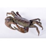 A LARGE JAPANESE BRONZE CRAB. 3.6cm x 10.6cm x 8.7cm, weight 295g