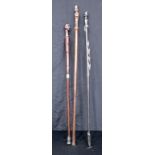 A collection of African and Turkish wooden walking canes . Longest 109 cm (3).