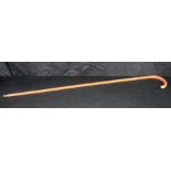 A wooden walking cane with 9ct gold banding and handle end 92cm.