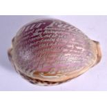AN ANTIQUE LORDS PRAYER ENGRAVED CONCH SHELL. 9 cm x 5 cm.