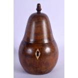A GEORGE III FRUITWOOD TEA CADDY AND COVER in the form of a fruit. 16 cm x 9 cm.