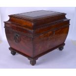 AN EARLY VICTORIAN ROSEWOOD RECTANGULAR WINE COOLER of smaller than normal proportions. 48 cm x 38 c