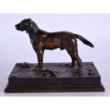 Antoine Louis Bayre (19th Century) French, Bronze, Dog. 11 cm x 9 cm.