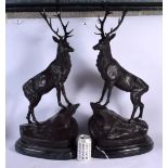 A LARGE PAIR OF CONTEMPORARY BRONZE STAGS. 68 cm x 26 cm.